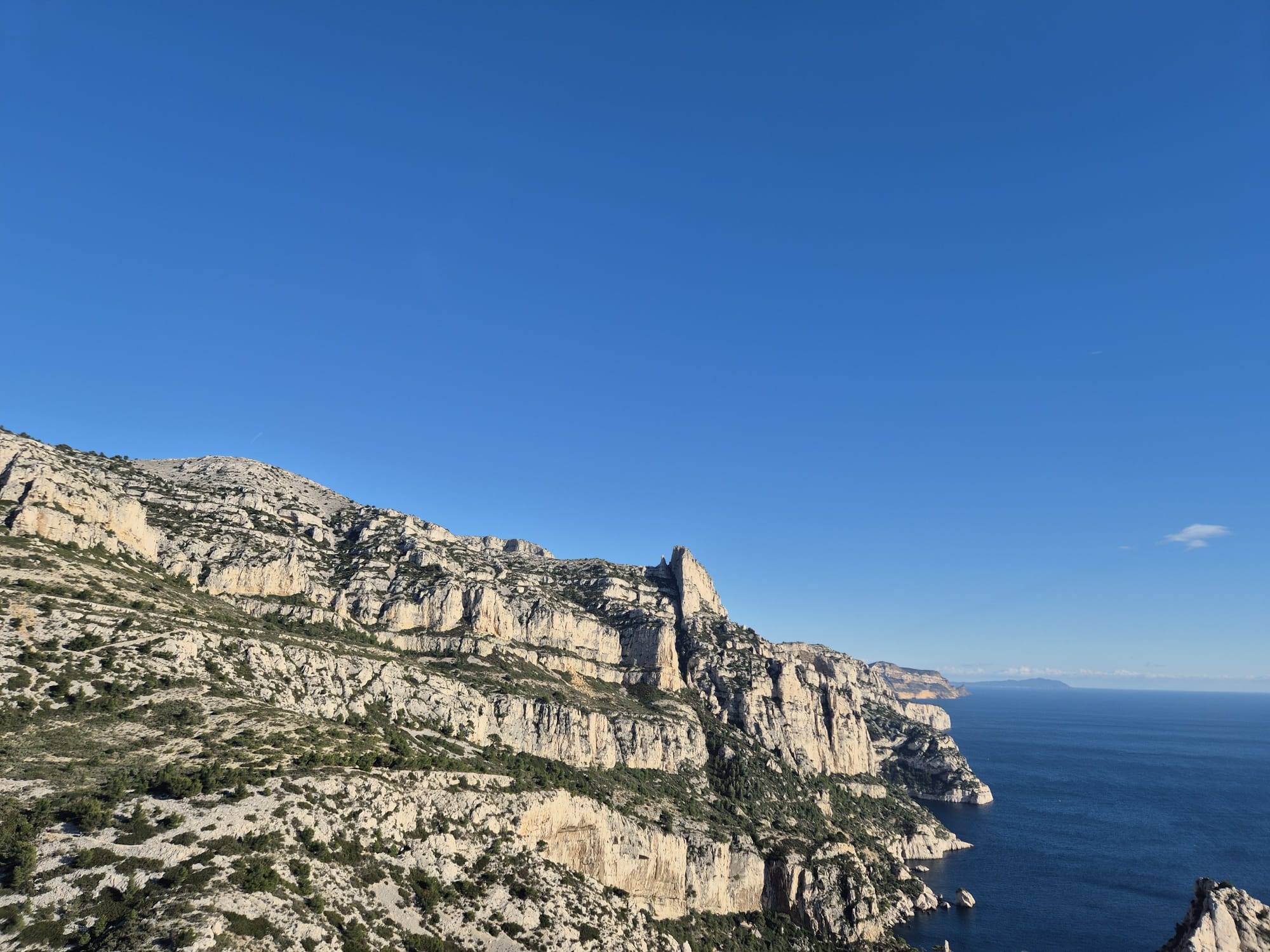 Description of the image